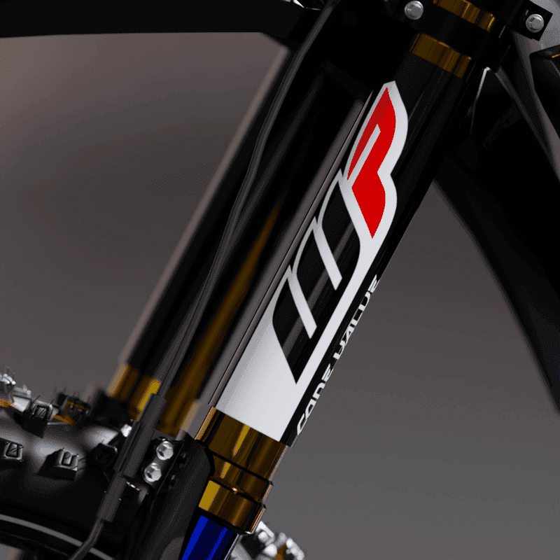 Fork Sticker Showa Retro Black fits Ducati DESMO product preview