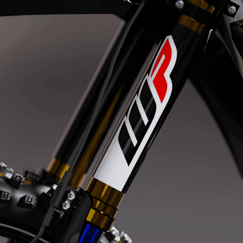 Fork Sticker WP Black fits Ducati DESMO product preview
